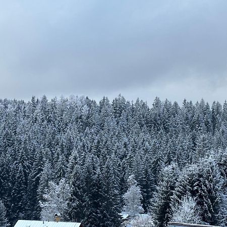 Penzion Verde Rosa Harrachov Extérieur photo