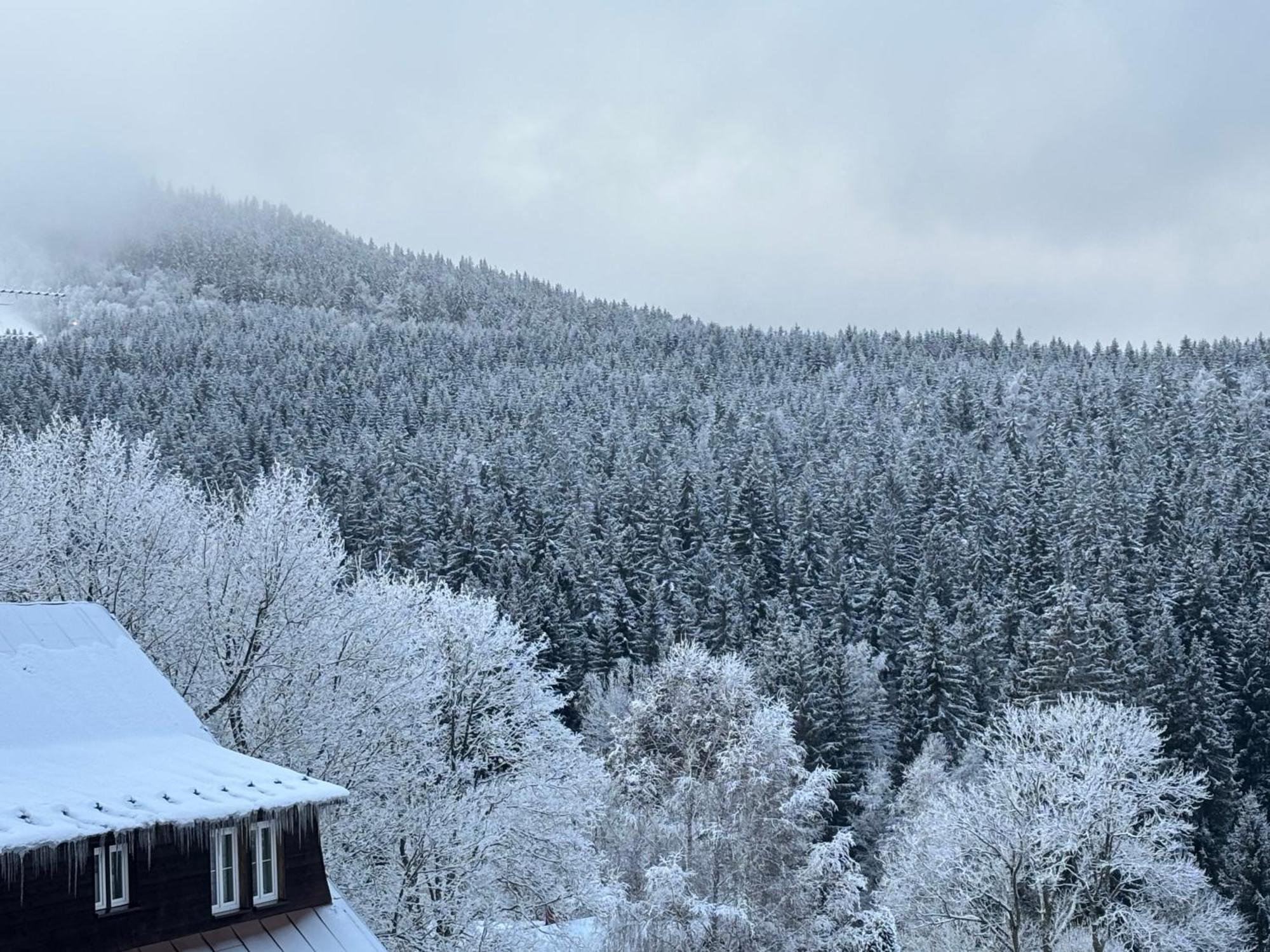 Penzion Verde Rosa Harrachov Extérieur photo